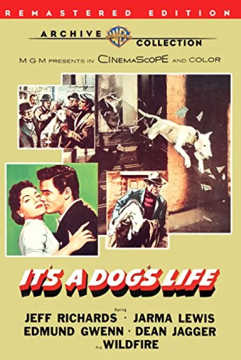 It's a Dog's Life