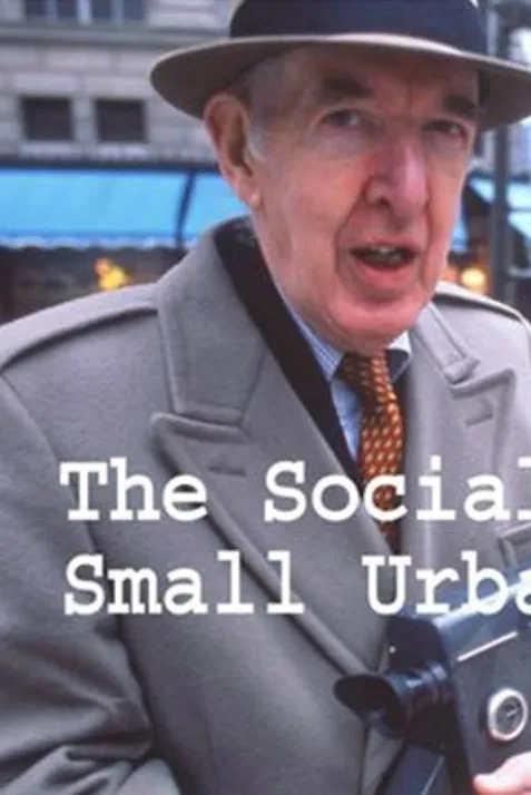 Social Life of Small Urban Spaces