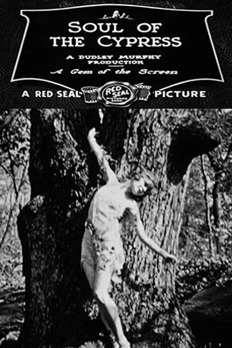 The Soul of the Cypress