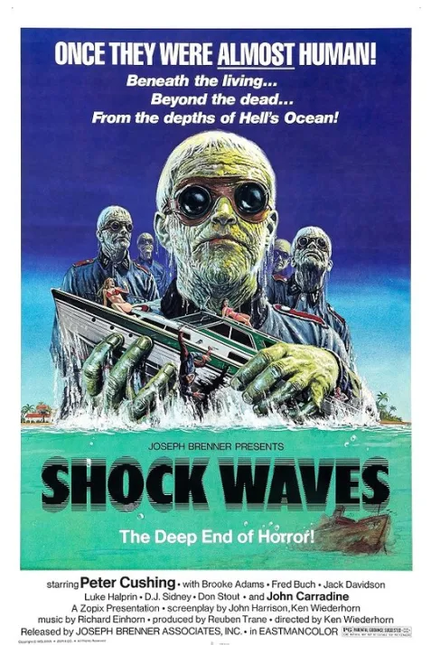 Shock Waves
