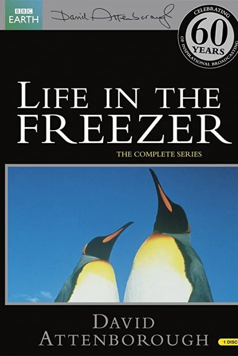 Life in the Freezer