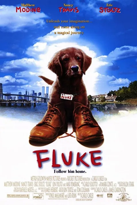 Fluke