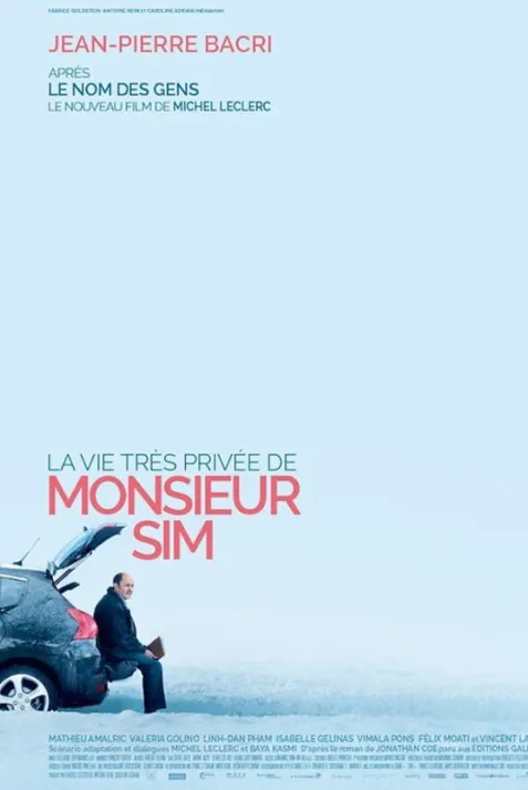 The Very Private Life of Mister Sim