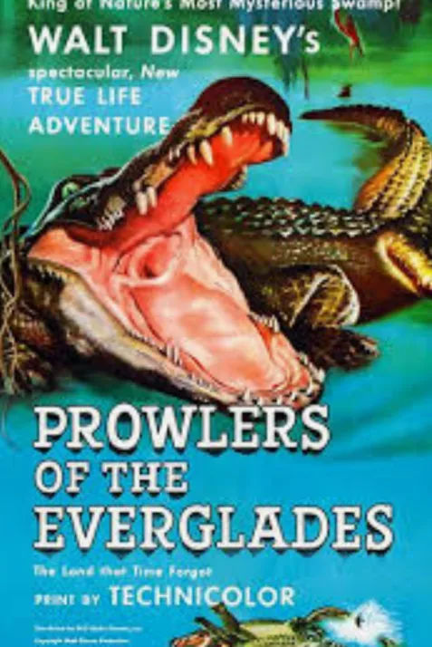 Prowlers of the Everglades