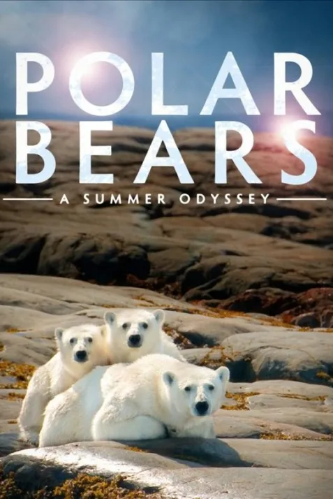 Polar Bears: A Summer Odyssey