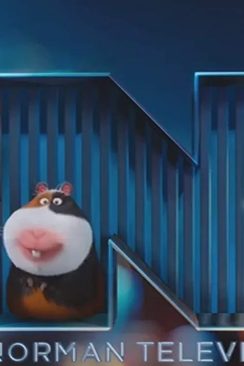 Norman Television