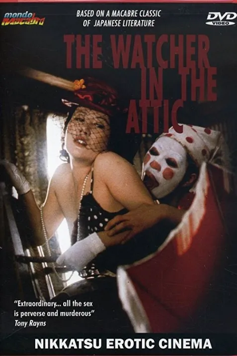 A Watcher in the Attic