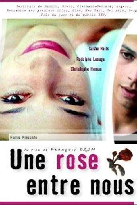 Une rose entre nous