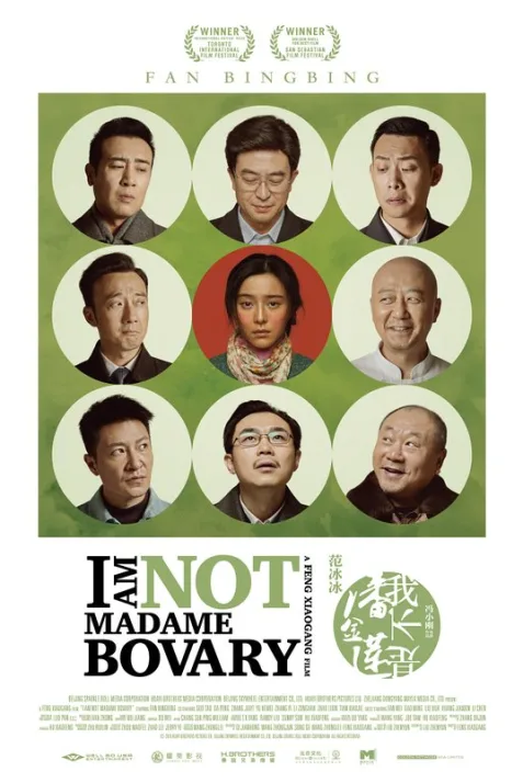 I Am Not Madame Bovary