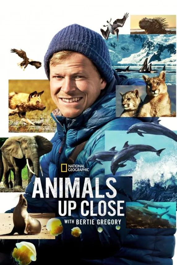 Animals Up Close with Bertie Gregory