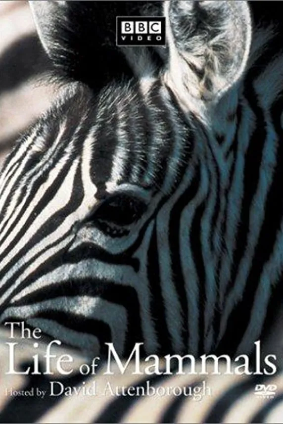 The Life of Mammals