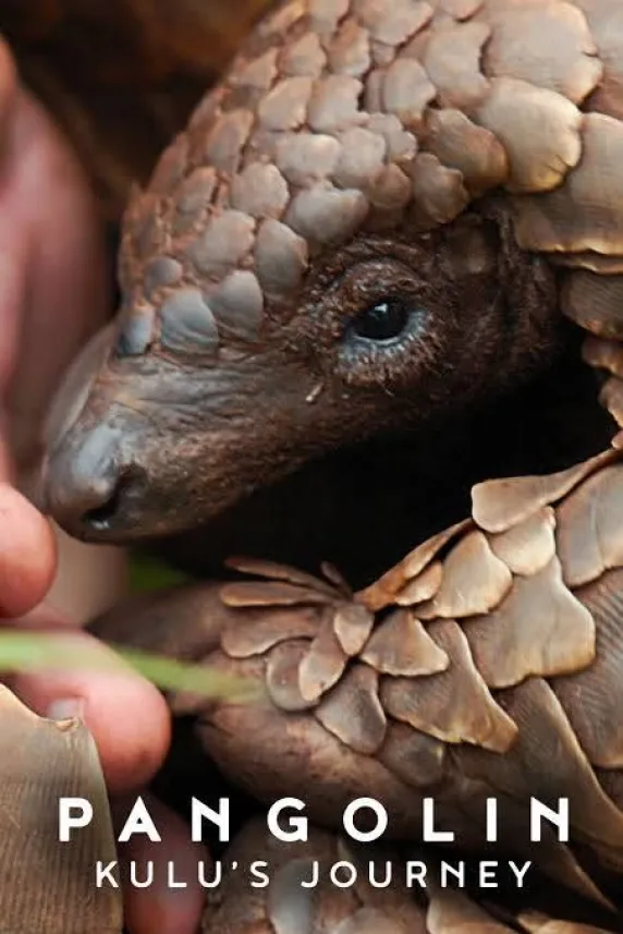 Pangolin: Kulu's Journey