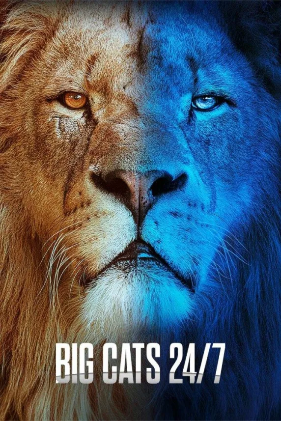 Big Cats 24/7