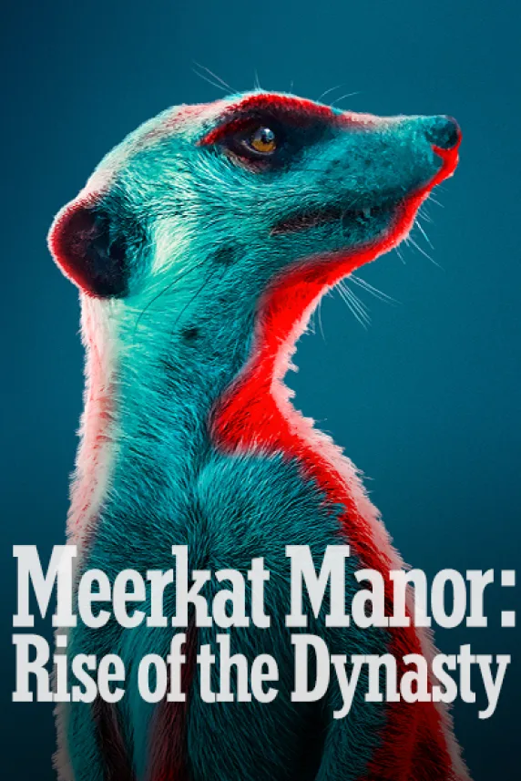 Meerkat Manor: Rise of the Dynasty