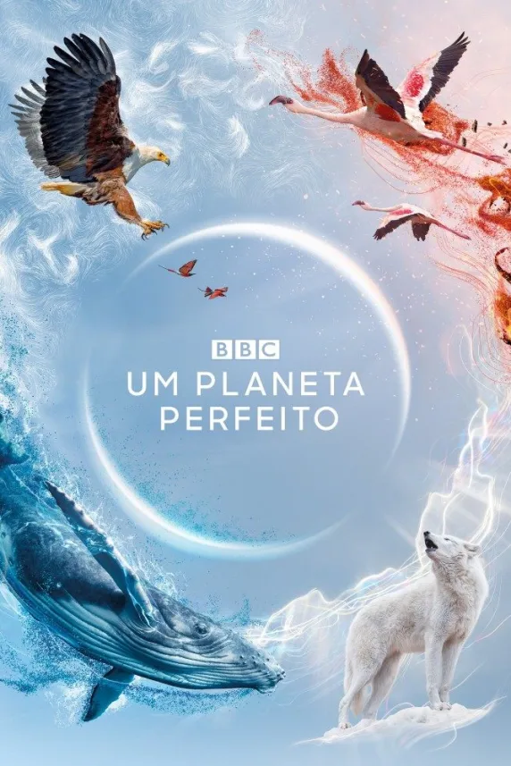 A Perfect Planet