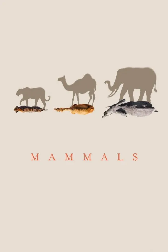 Mammals