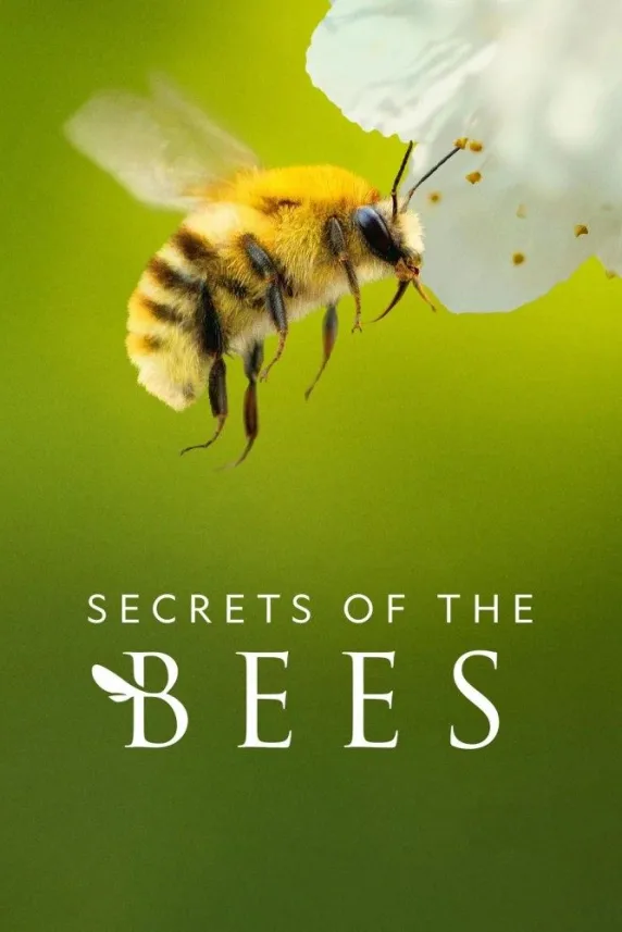Secrets of the Bees