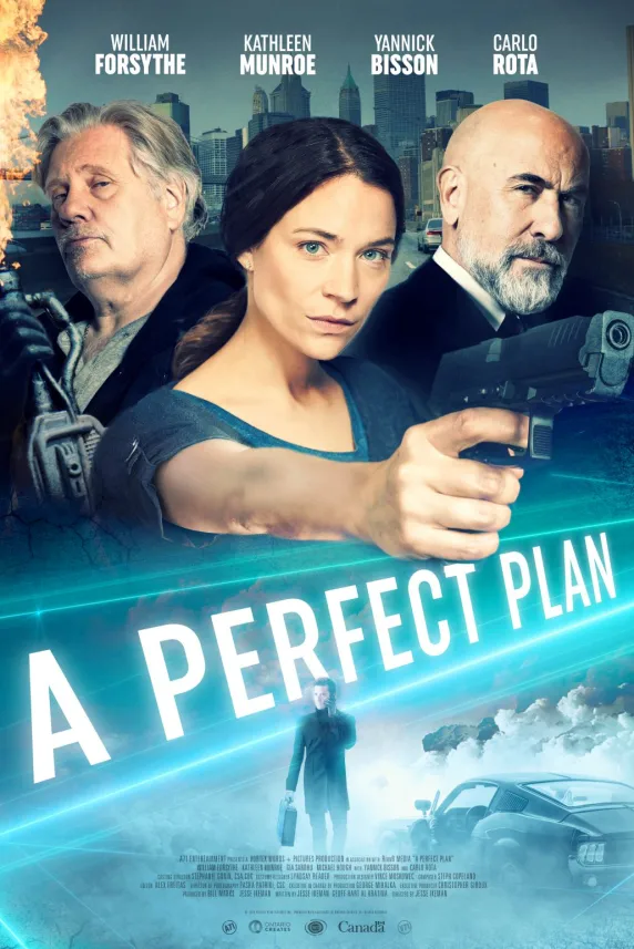A Perfect Plan