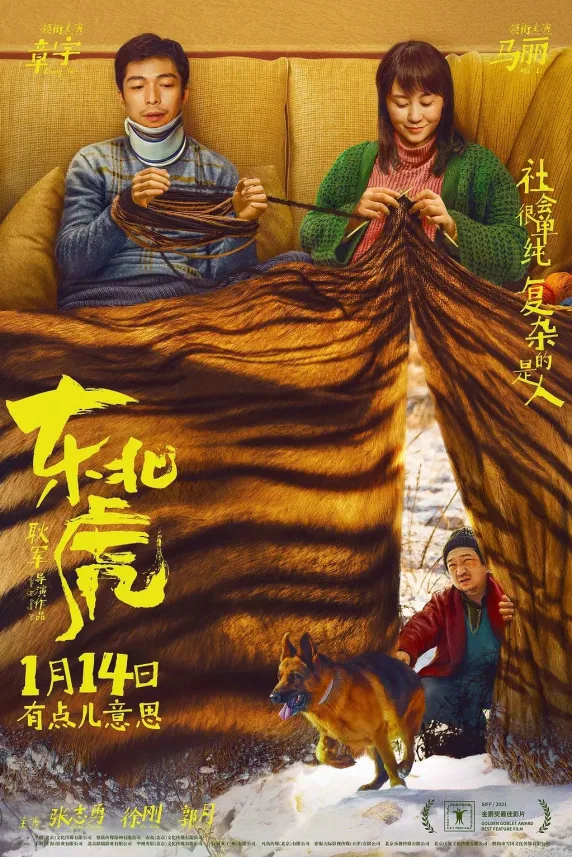 Manchurian Tiger