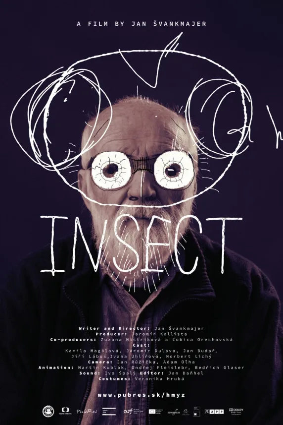 Insect