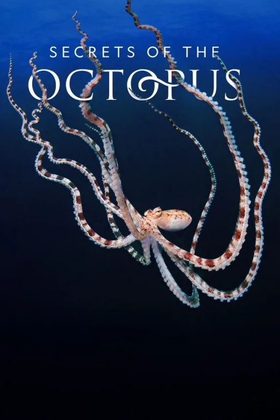 Secrets of the Octopus
