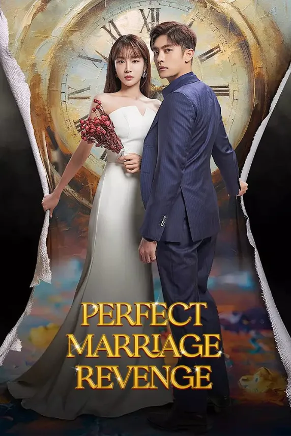 Perfect Marriage Revenge