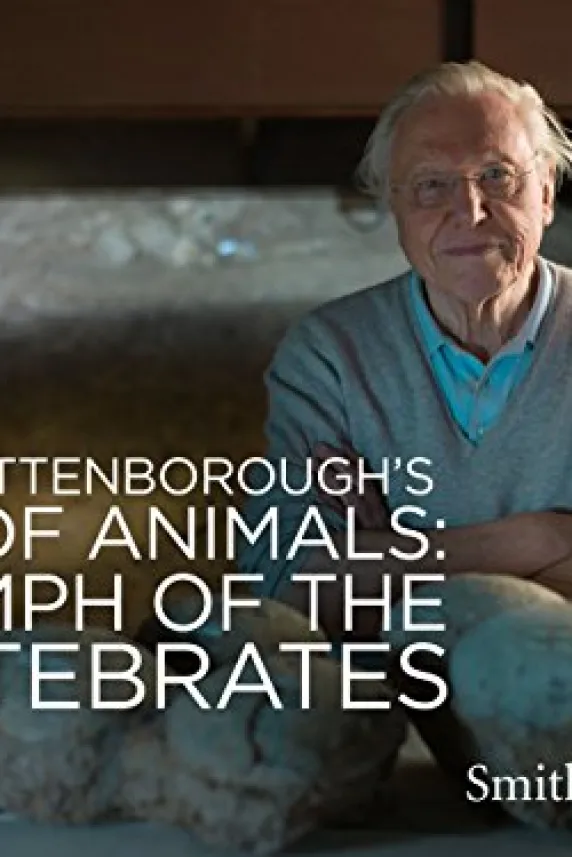 Rise of Animals: Triumph of the Vertebrates