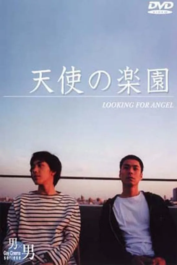 Looking for an Angel