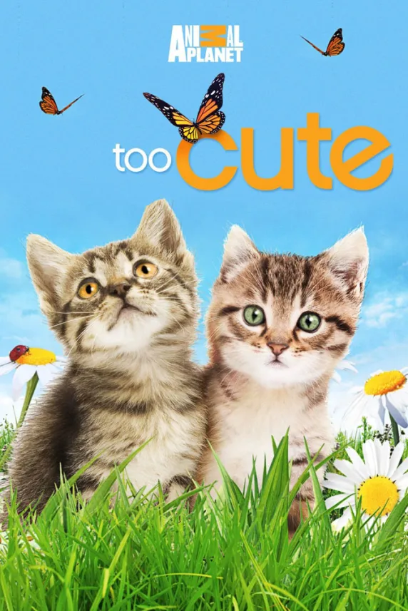 Too Cute!
