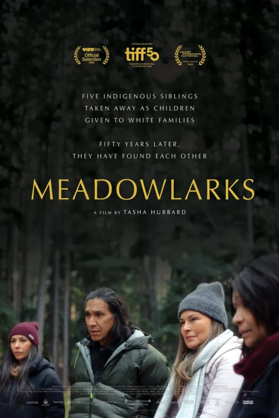 Meadowlarks