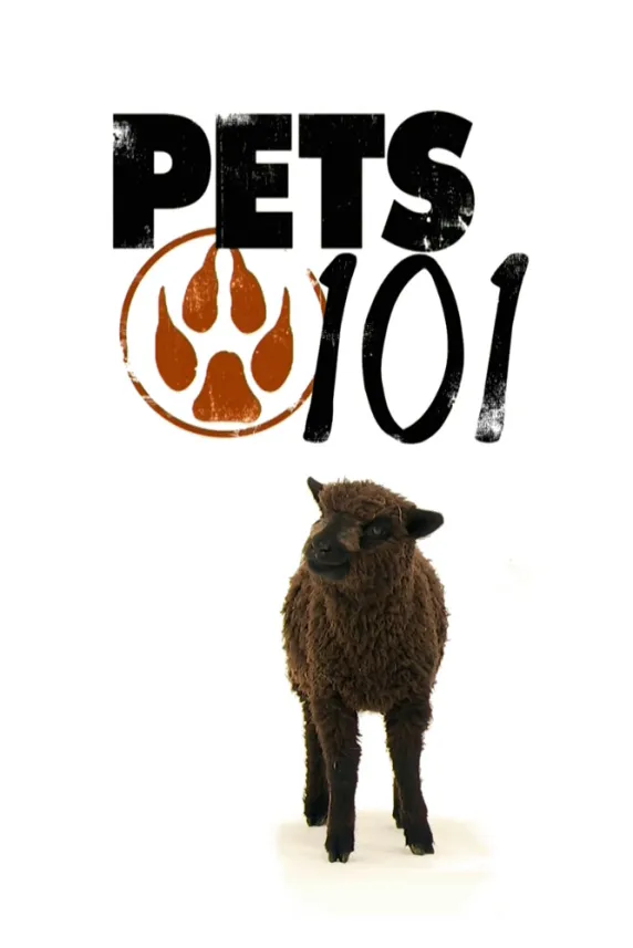 Pets 101