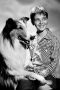 Tommy Rettig
