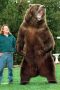 Bart the Bear