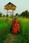 Vandana Shiva