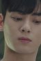 Cha Eun-woo