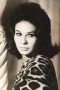 Franca Bettoia