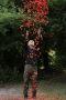 Andy Goldsworthy
