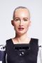 Sophia the Robot