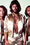 The Bee Gees