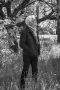 Alar Kivilo