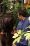 Martin Kratt