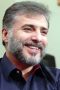 Seyed Javad Hashemi