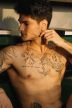 Davi Kneip